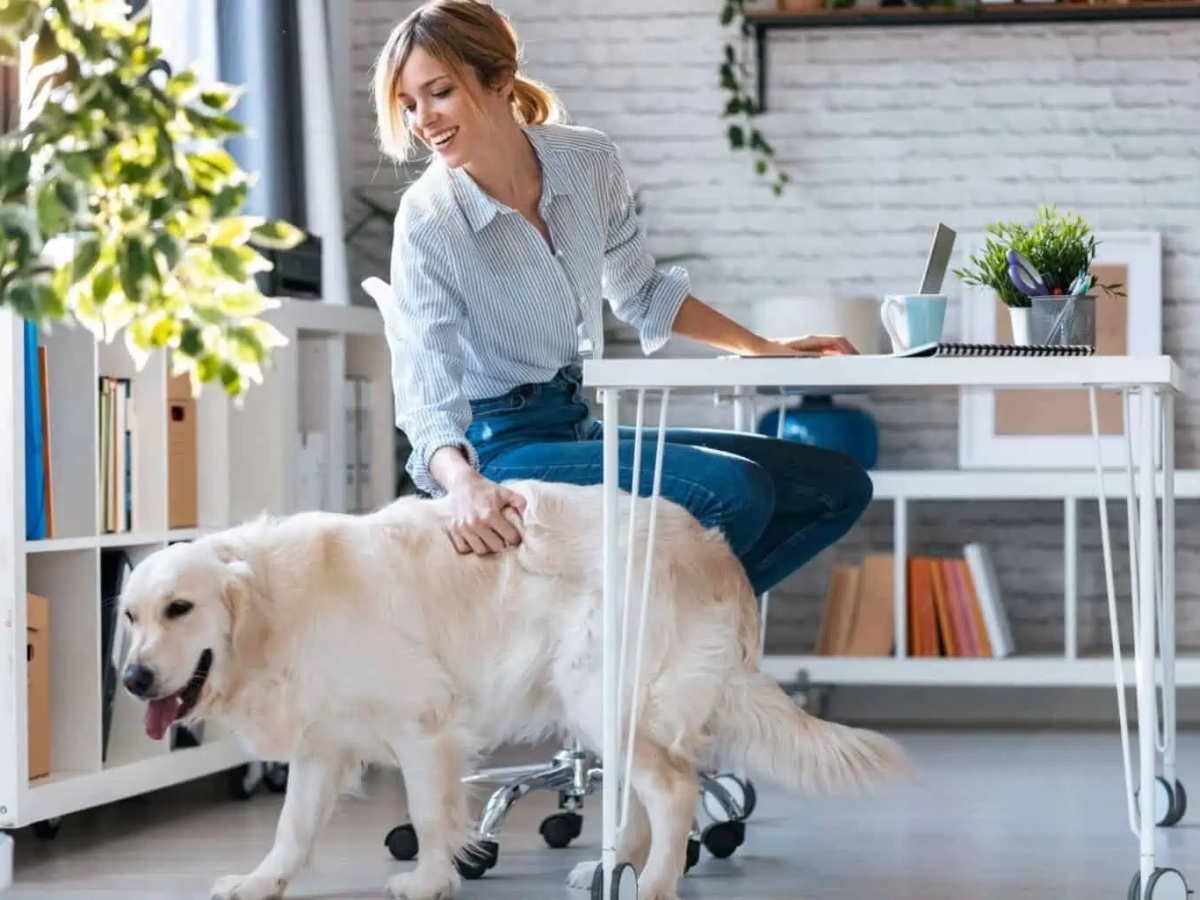 Ghid – apartamente 2 camere&nbsp;București