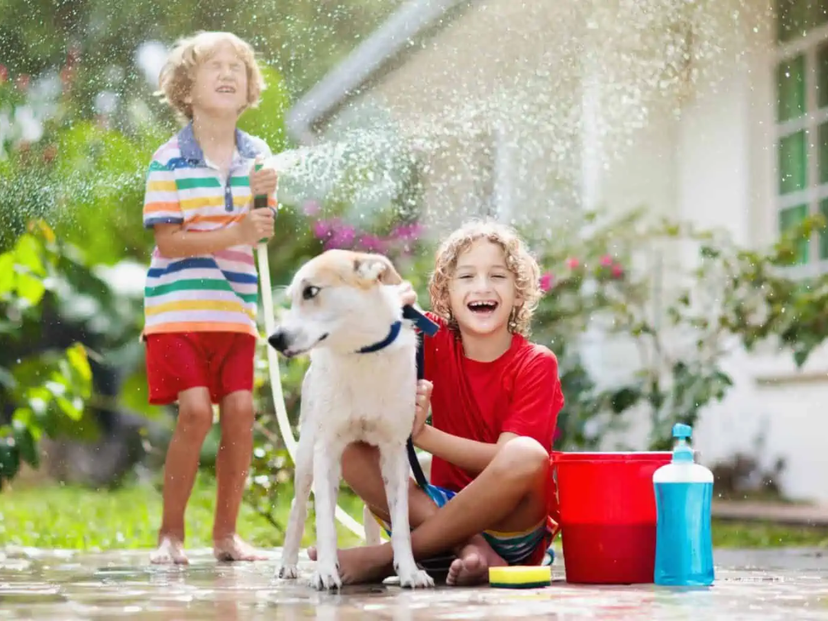 Copiii sunt mai fericiți într-un cartier&nbsp;verde
