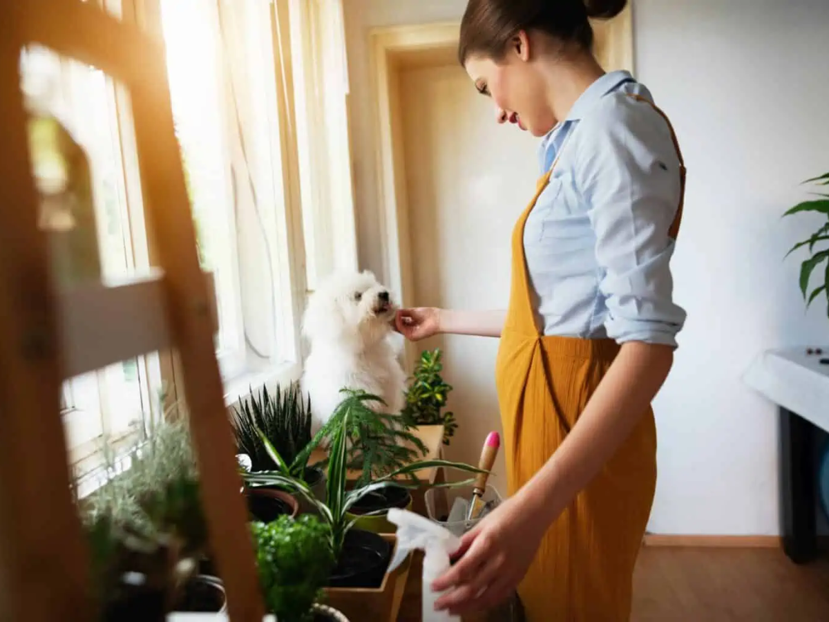 Ghidul primilor pași pentru a alege apartamentul perfect pentru&nbsp;tine