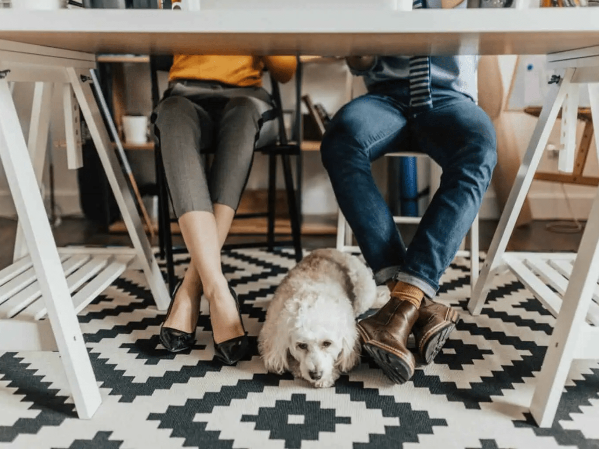 13 puncte cheie despre creditul&nbsp;ipotecar